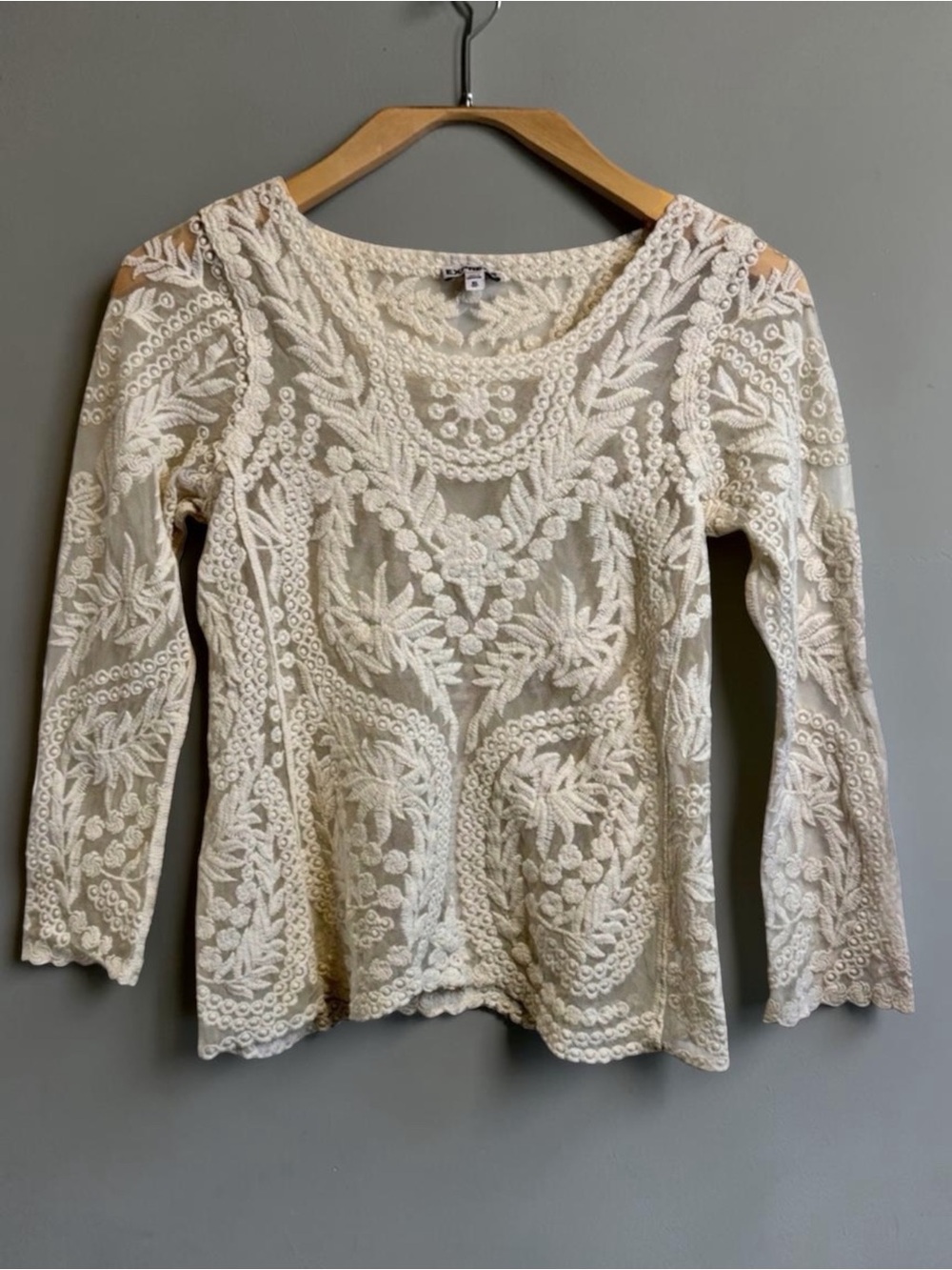 EXPRESS | Lace Embroidered Blouse | Sheer | Boho | Cottagecore | Feminine